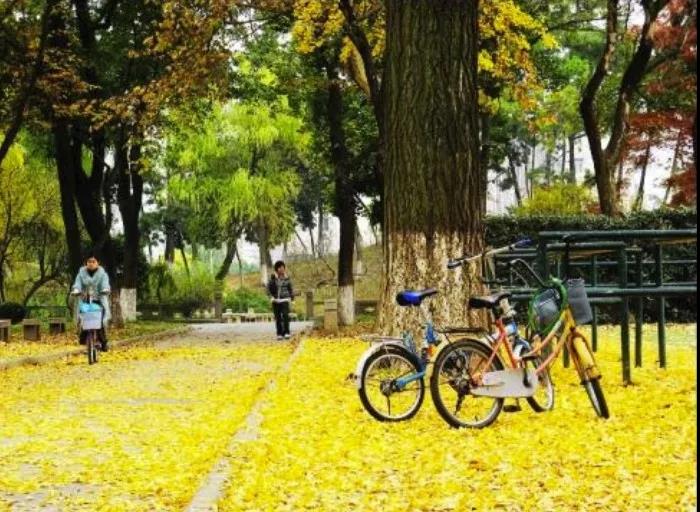 1559120874249785.jpg 微信图片_20190529170147.jpg