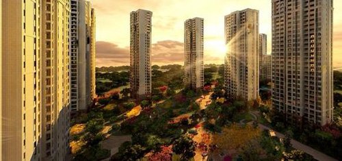 1559207377795225.jpg 1.jpg