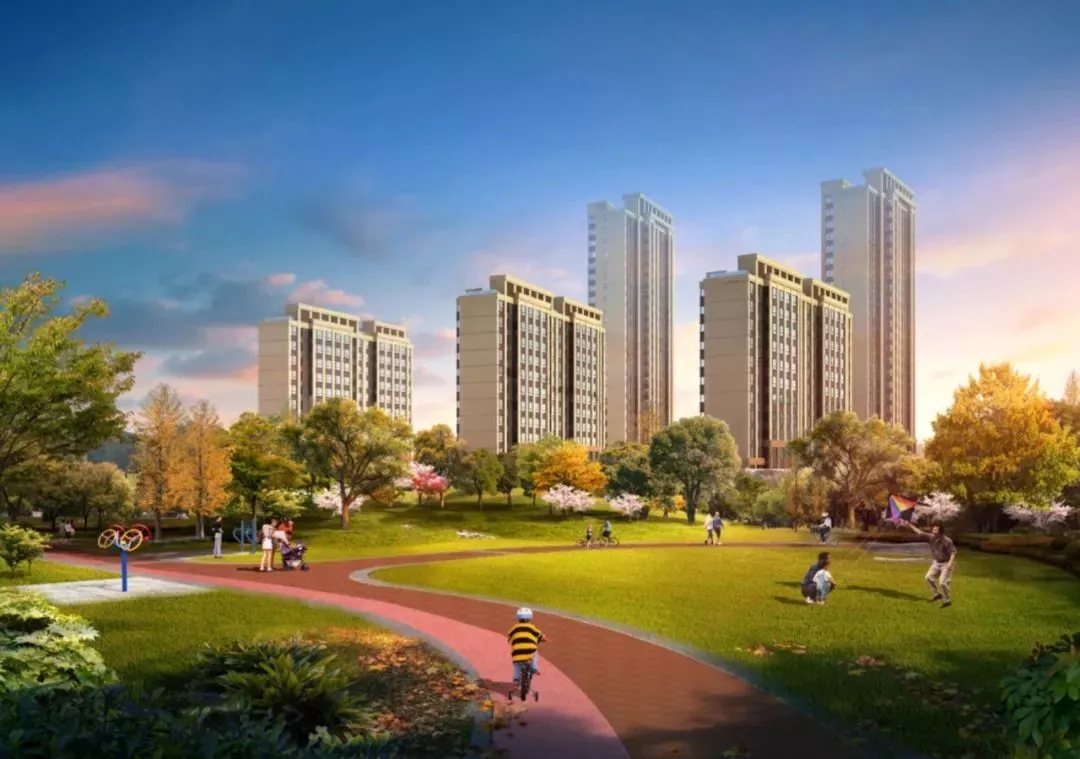 1559207406740395.jpg 3.jpg