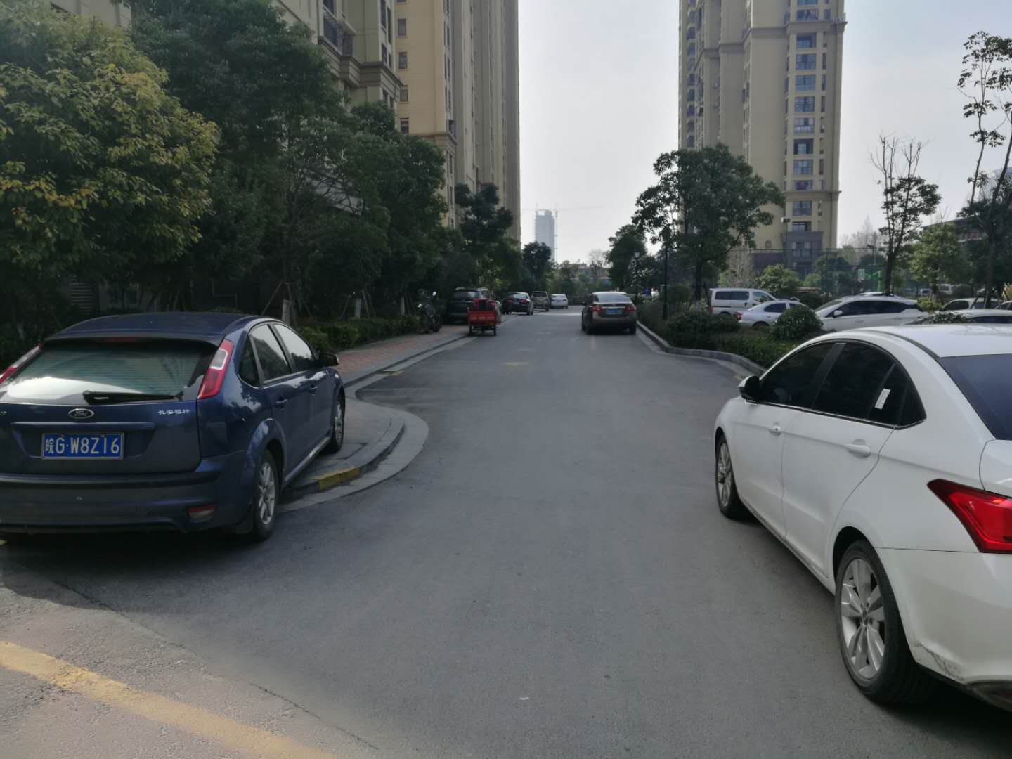 1559207426797116.jpg 4.jpg