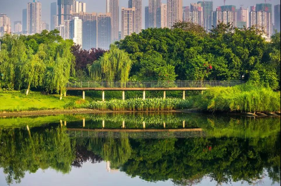 1559215378460323.jpg 微信图片_20190530192145.jpg