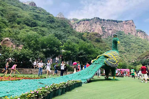 1563873611878166.jpg 4.webp.jpg