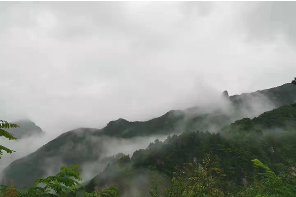 1567421127576395.jpg 22.jpg