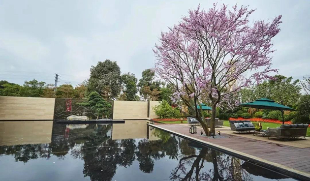 1584613273936993.jpg 金辉项目效果图(7)