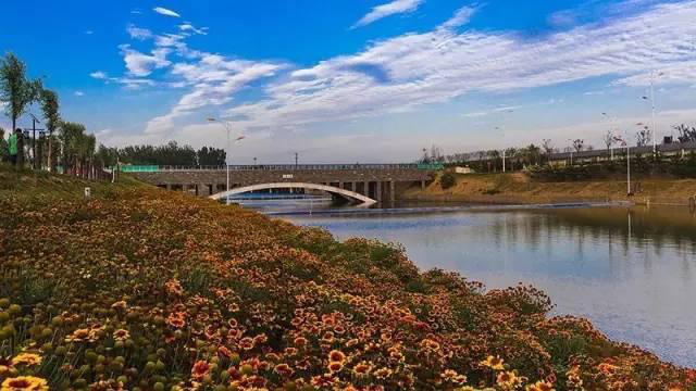 1585301886317010.png 图片6.png