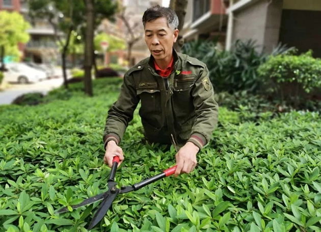 金辉物业工作人员园区维护