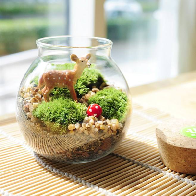 金辉优步学府奇趣微景观DIY示意图