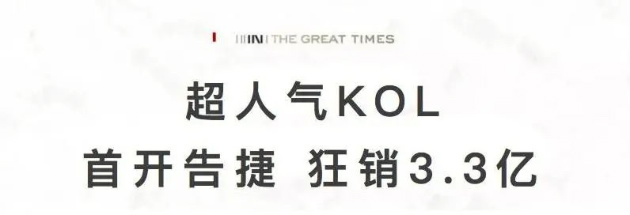 金辉地产项目金辉观澜云著开盘现场