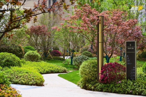 徐州金辉信步兰庭实景图